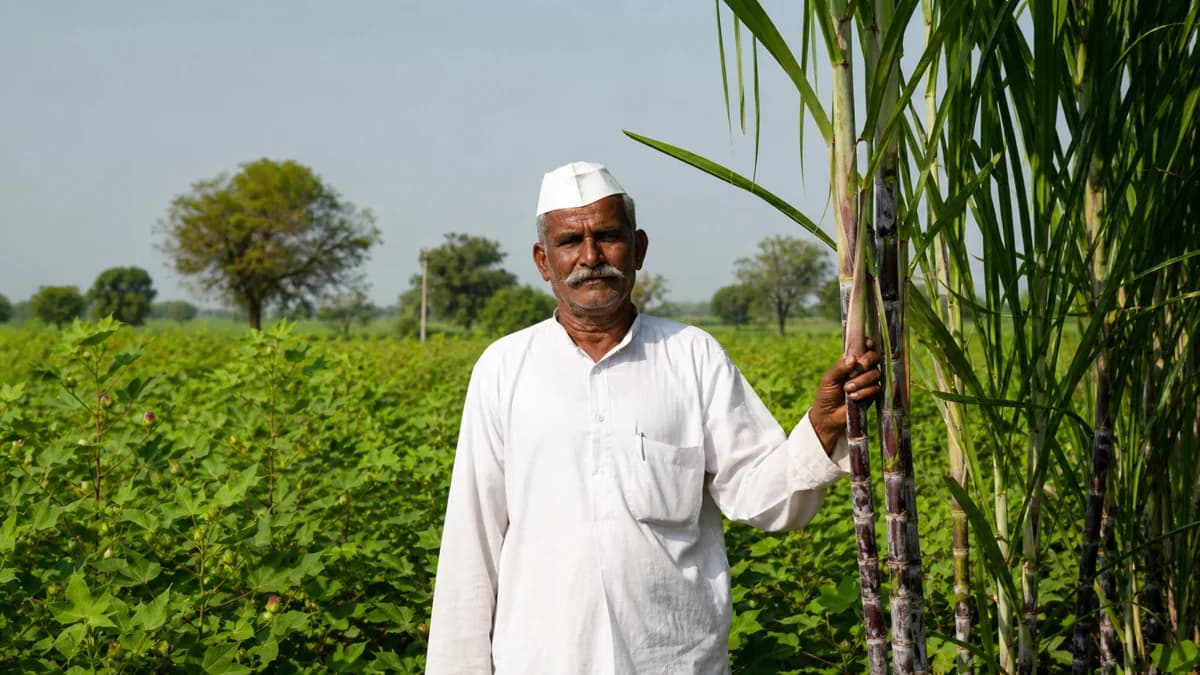 नमो शेतकरी योजना — ₹12000 की किस्त कब और कैसे मिलेगी? जानिए