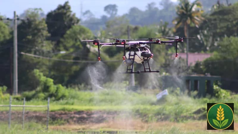 Namo Drone Didi Yojana 2026 - Agriculture drone khet mein spray karta hua, SHG mahila drone pilot service
