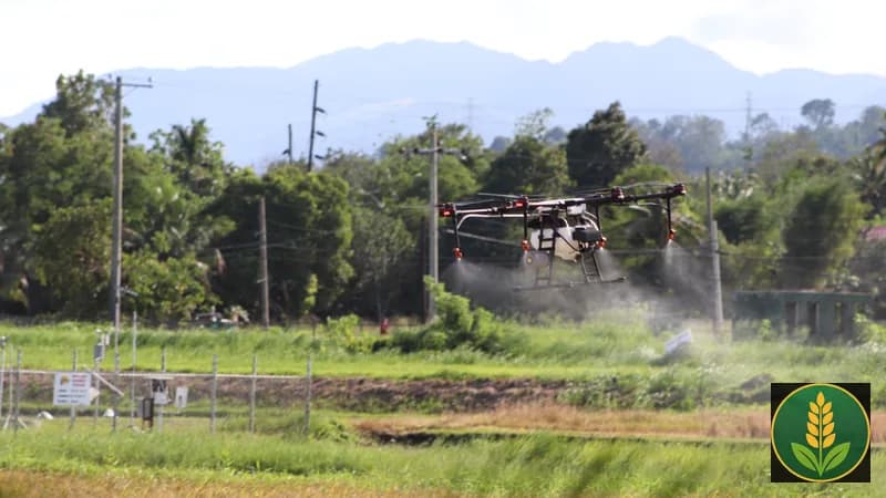 Drone Didi training - agriculture drone se khet mein spray ka practical demo, 15 din ki DGCA training