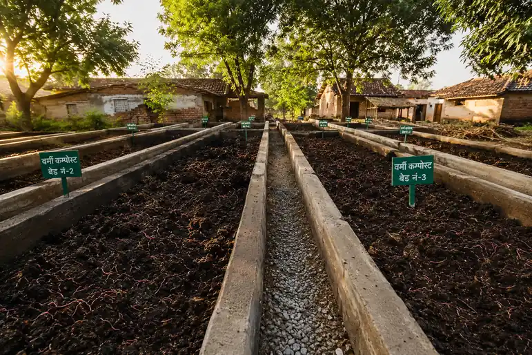 Well-organized Vermi Compost Pits in a Shaded Area