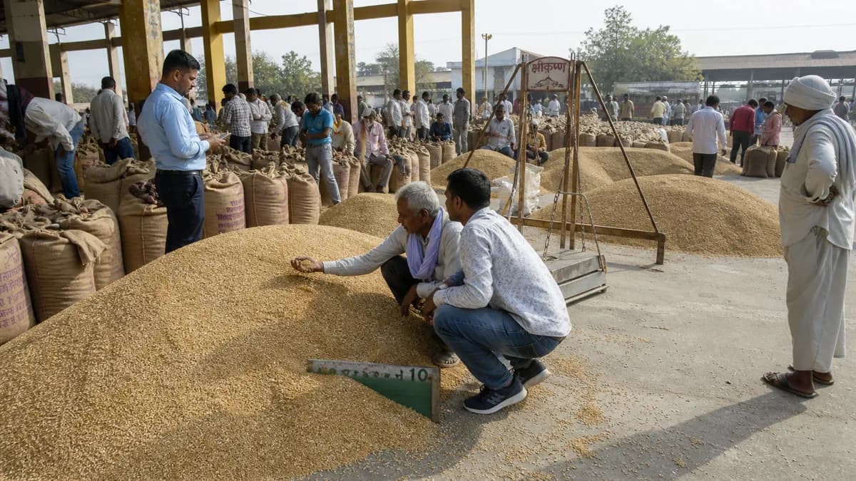 गेहूं का रेट आज क्या है? MSP vs मंडी भाव की तुलना देखें