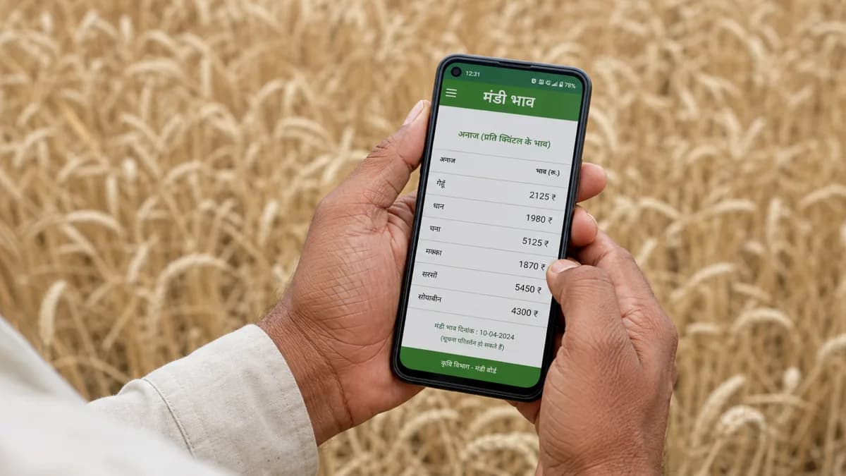 खेत में mobile पर मंडी भाव देखता किसान